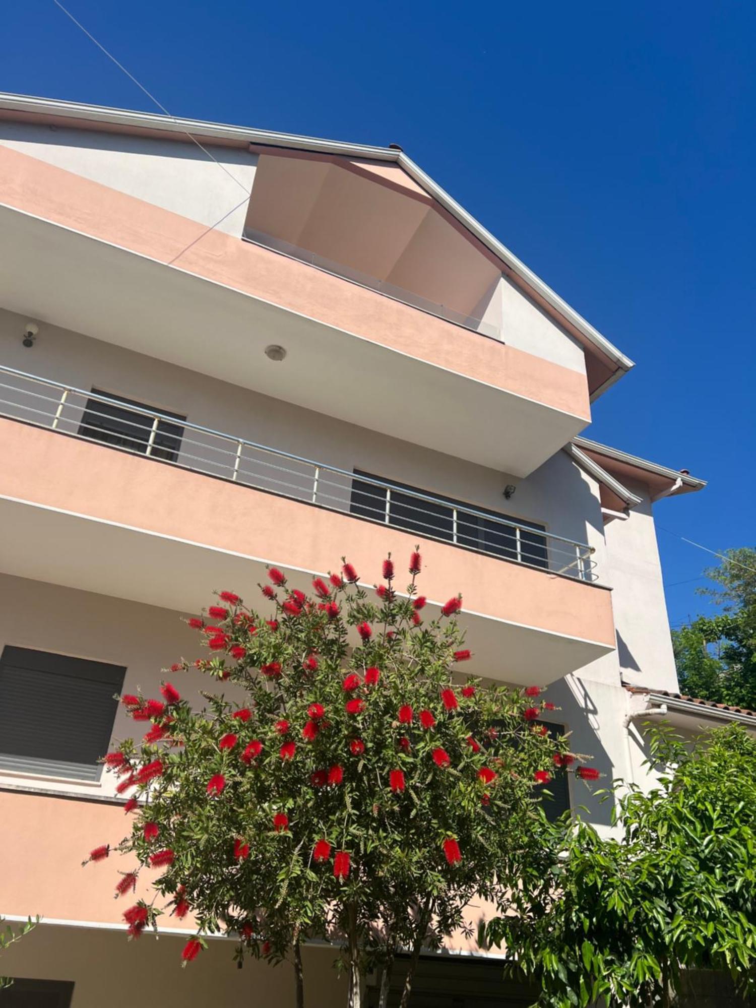 Flower Terrace Apartment Gjirokaster Exterior photo